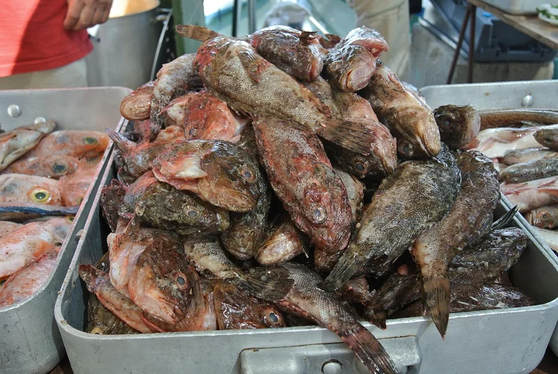 Bouillabaisse